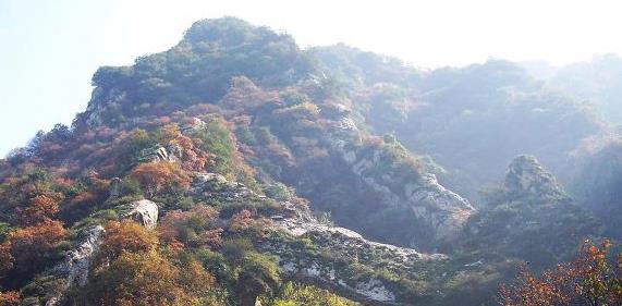 青海|山东一宝藏景区，山脊5公里，海拔474.9米，遍山青翠，还藏着古寺
