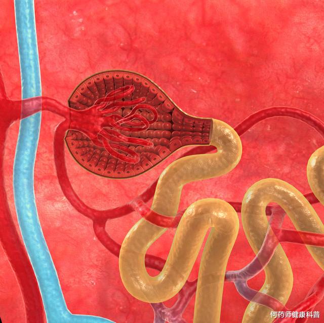 何药师健康科普|糖尿病肾病，前列地尔联合贝那普利，有效减少尿蛋白，改善肾功能