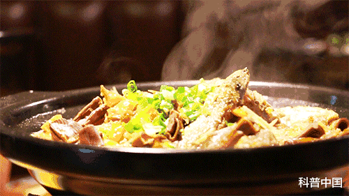 蛋白质|超市里一元一包的小鱼干,到底是用什么鱼做的?能放心吃吗?