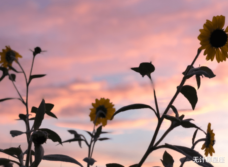 无计聊星座|三十岁之前,4个星座女,很有气质,让人一见钟情,一眼就喜欢