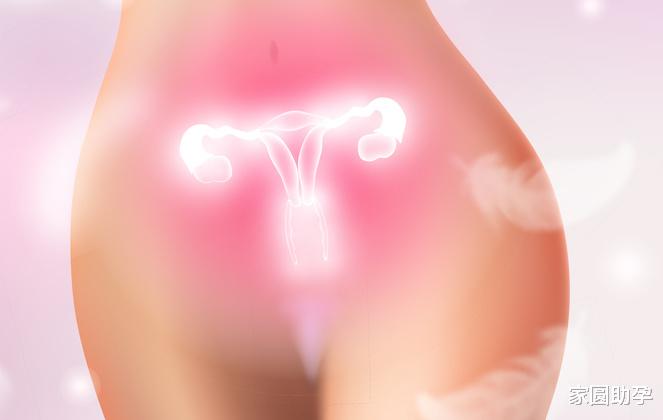 家圆助孕|公交司机为孕妇系鞋带获网友称赞:因为一个人,暖了一座城!