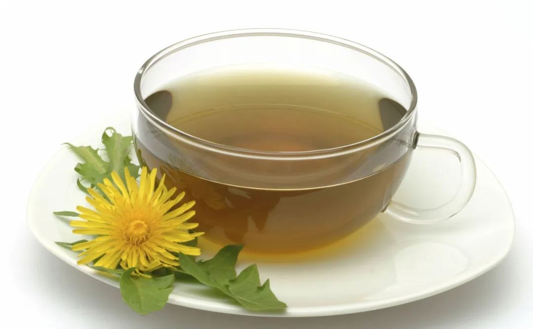 金兰中医学社|蒲公英虽好,但是要想为健康谋福利,还需注意这“三不喝”