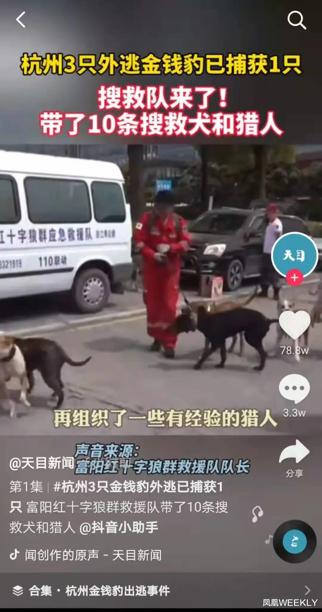 凤凰WEEKLY 杭州“瞒豹”:一场把网友当傻子的荒诞剧