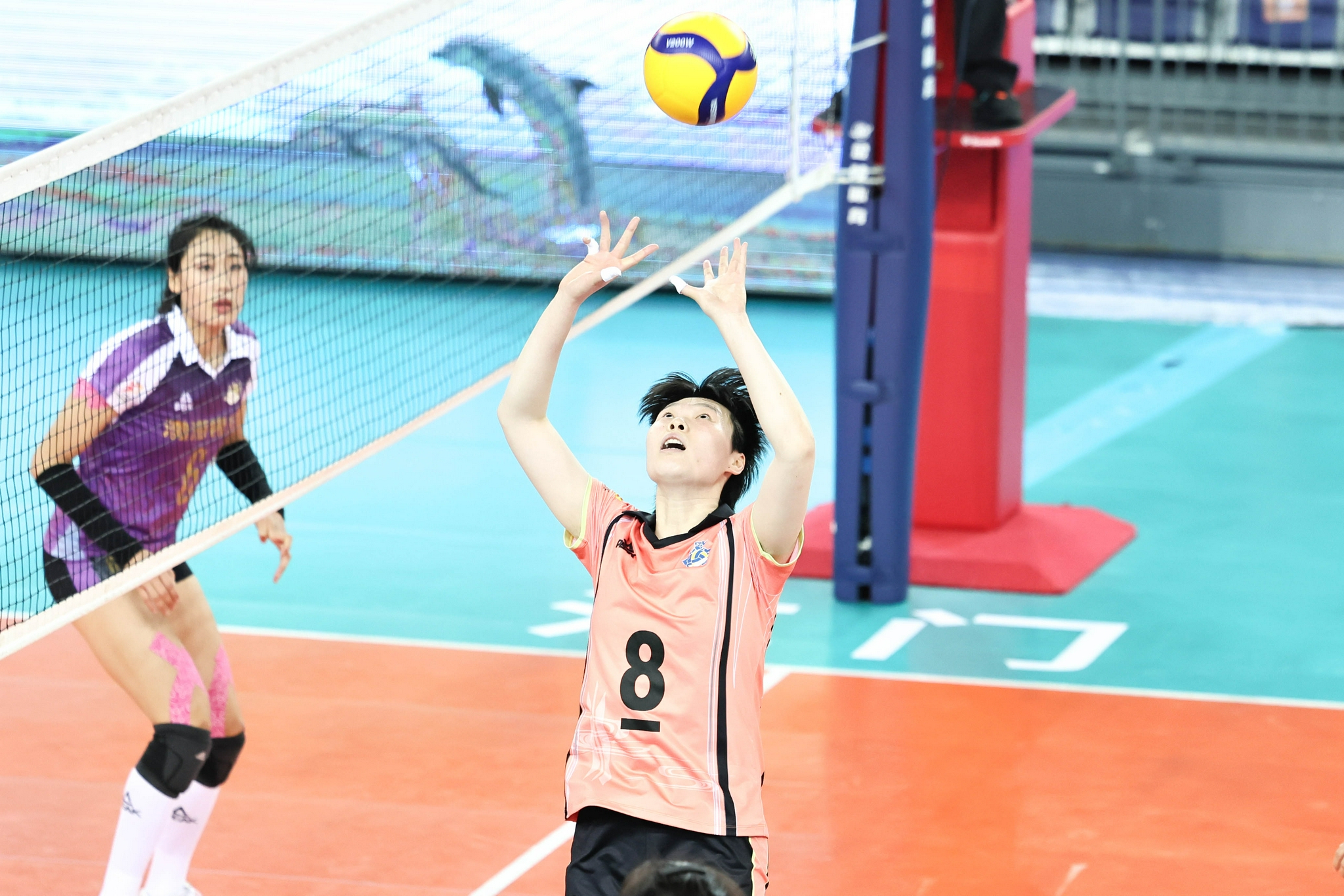 女排|排協(xié)又成“焦點”：修改賽程剛被吐槽，分組積分又出問題