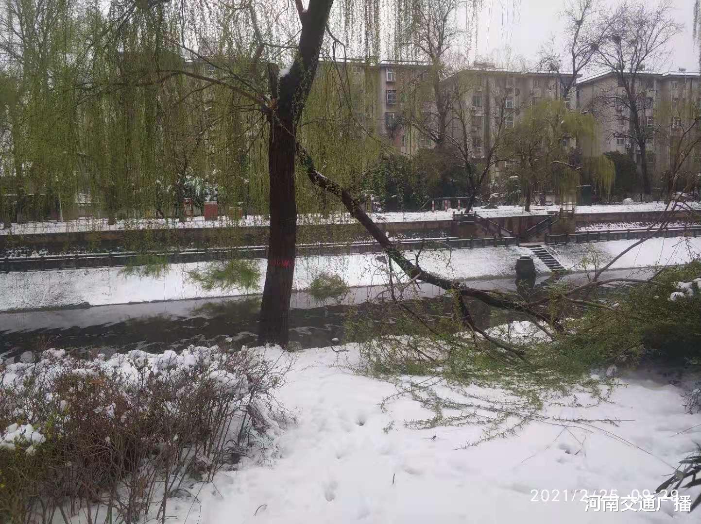 河南交通广播 大雪压断树枝 郑州城区河道管理员急清理