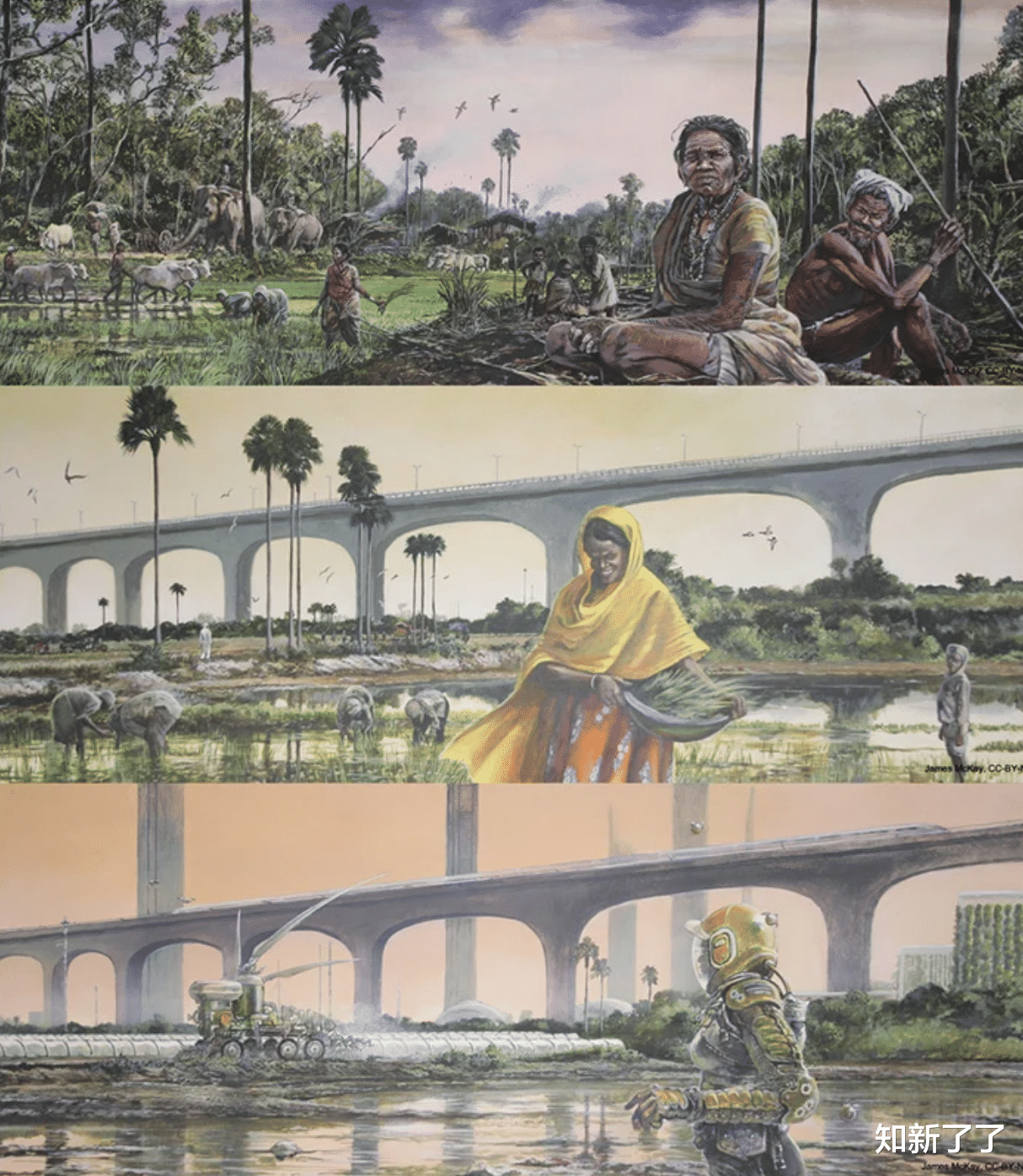 火星 如果人类现在不采取行动，到2500年，地球将变得面目全非