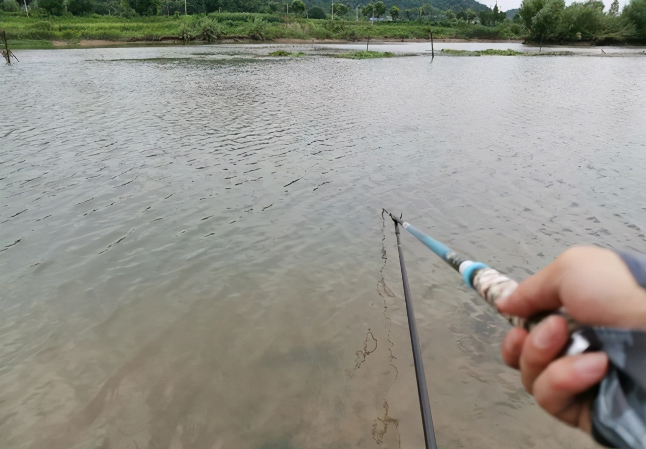 |长竿好还是短竿好？野钓和黑坑不一样，可别选错了