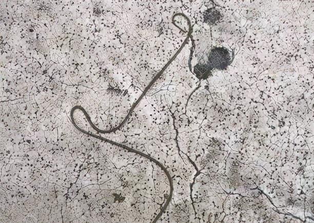 池塘 水里遇到的“会动的铁丝”到底是一种什么东西？