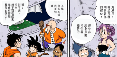 雅木茶|80后漫画鸟山明《七龙珠》：深挖布尔玛与雅木茶最终为何分手？
