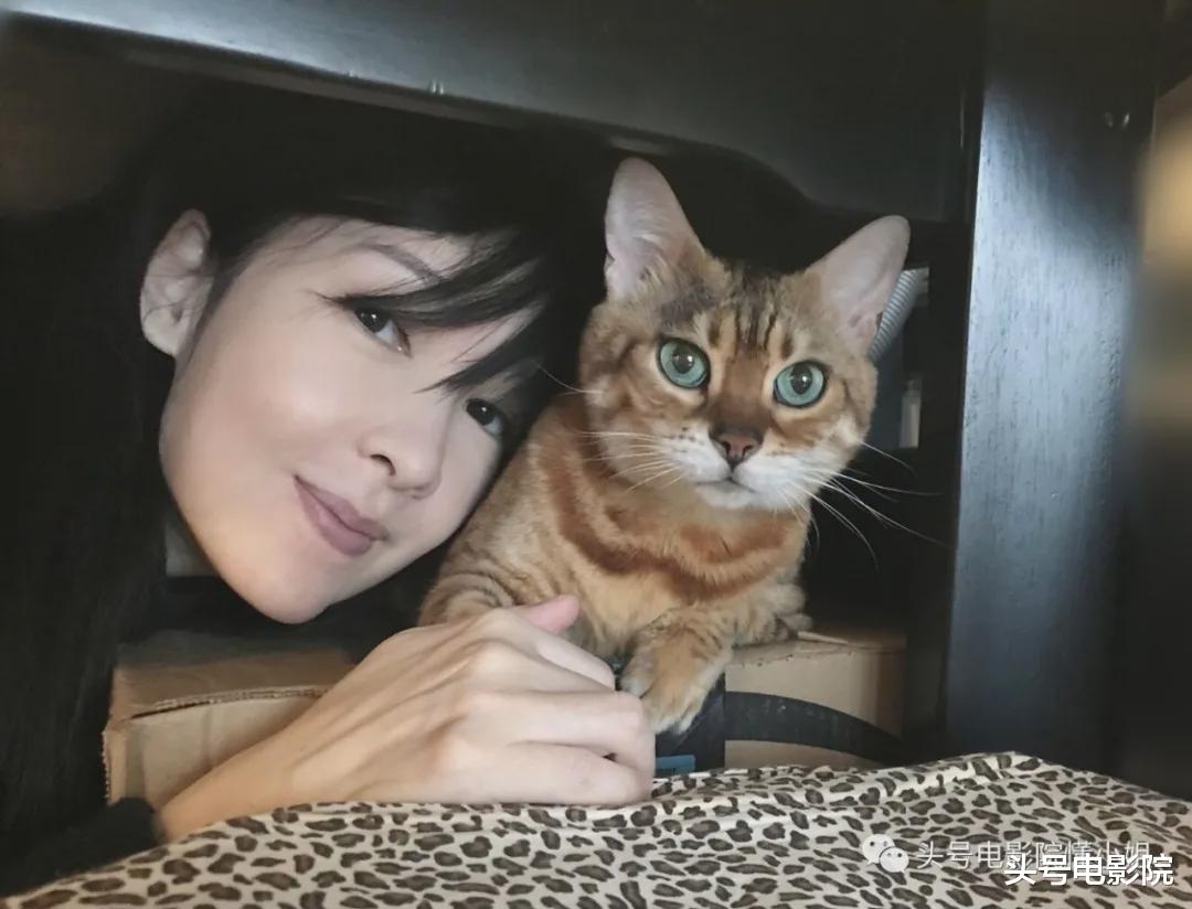 穆婷婷|53岁周慧敏1月失两爱猫，结婚12年无儿女，昔日小三逆袭生俩娃