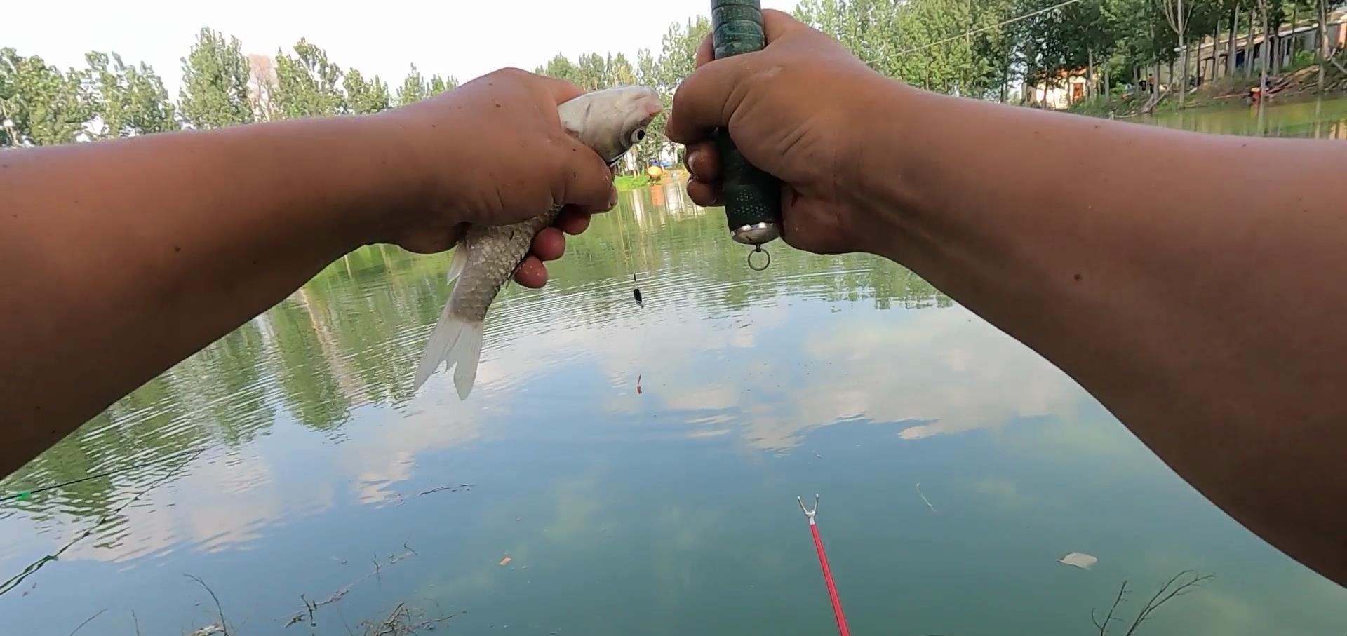 弹弓|因为这个小玩意儿,治好了我的钓鱼综合征,你也许还蒙在鼓里