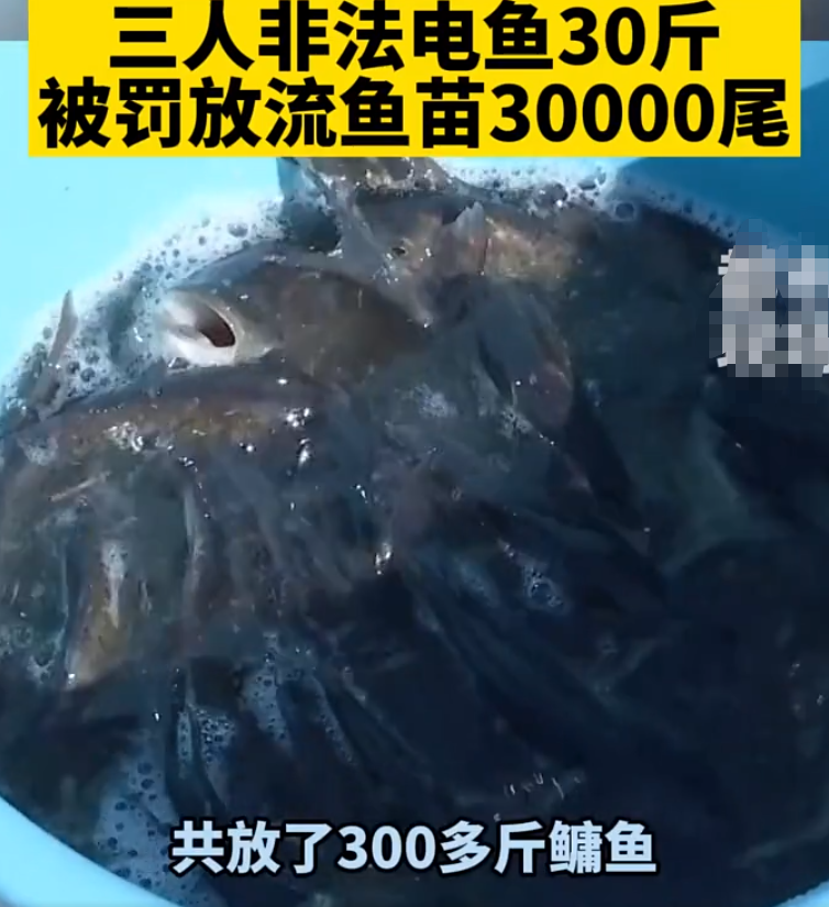 |江西三个电鱼人栽了，电了30斤，被罚放流鱼苗3万尾，何苦的呢