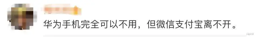 支付宝|微信和支付宝，迎来了超强对手
