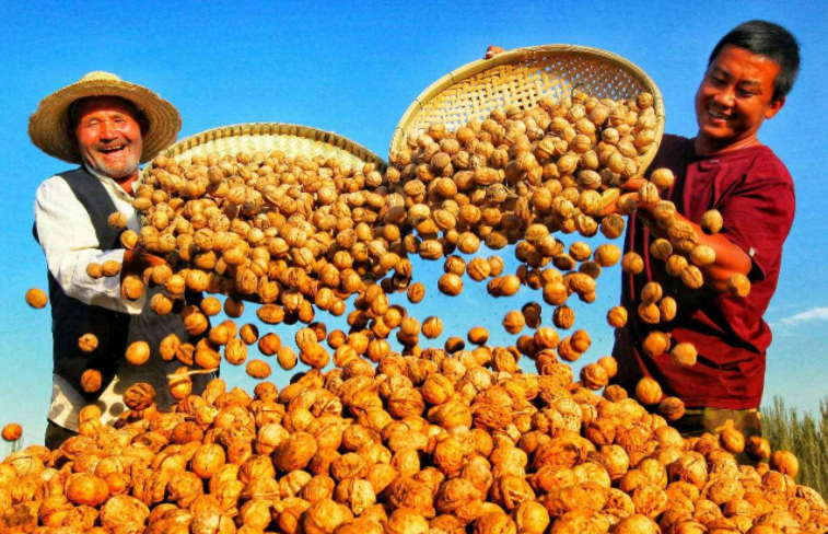 担心中国取消订单?一向从容自若的美国,为何坐不住了