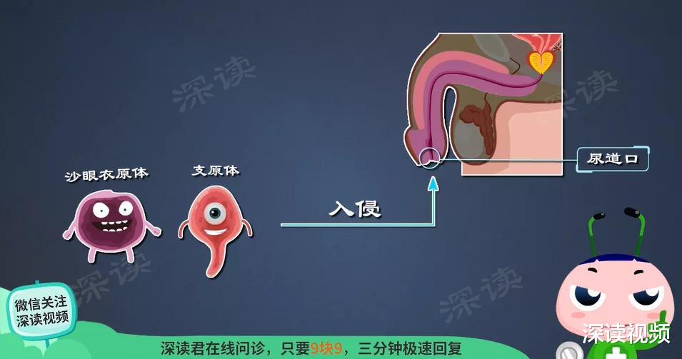 尿道炎|好好的咋就尿道炎了？为啥尿痛、尿频，还尿急？解密尿道炎发病机制