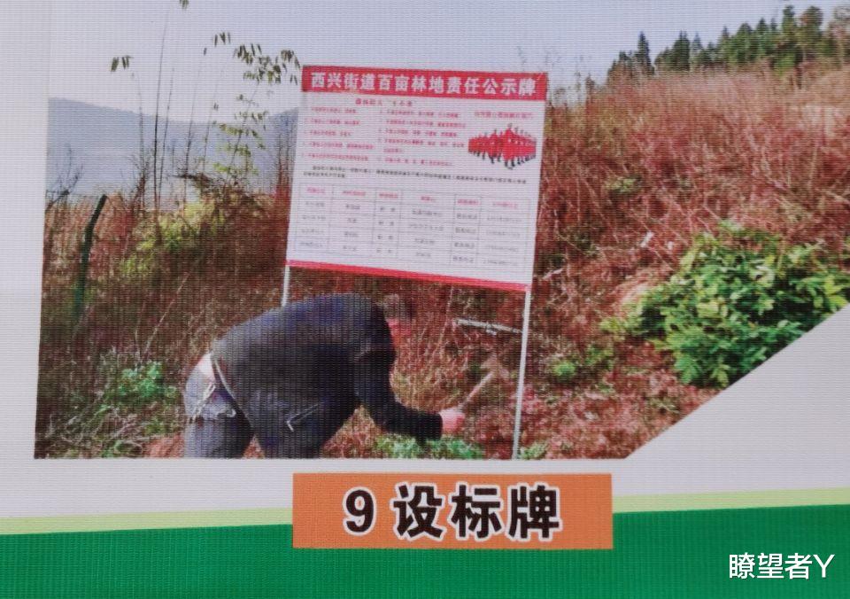 瞭望者Y 嘉陵的西兴出了啥“亮点”？南充全市这个现场会来参观学习了！