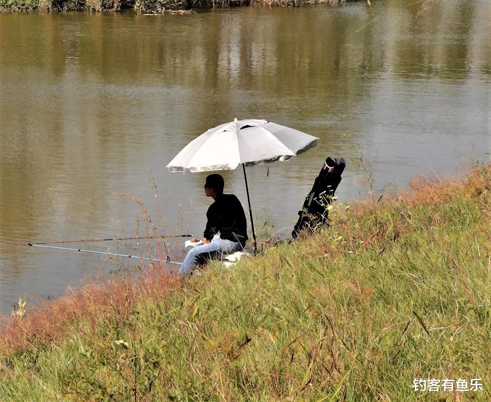 饵料|野钓鲤鱼，有鱼跳有鱼腥却不吃饵，其实这几方面有问题