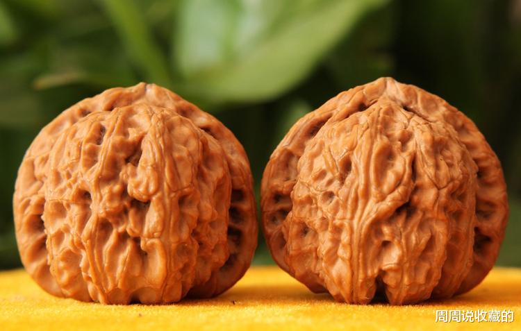 狮子|文玩核桃白狮子两大派，你属于哪一派？