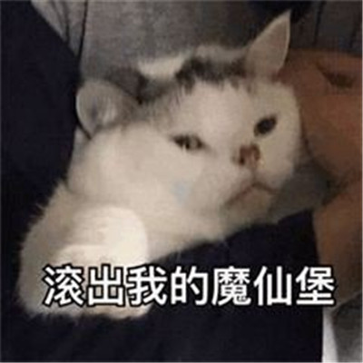 桉月|表情包:我真的不能再喝了