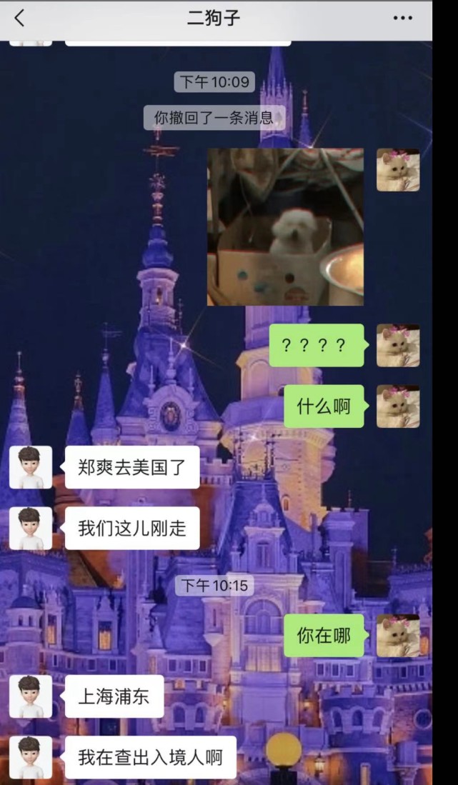 郑爽|郑爽独自飞广州目的疑似曝光，张恒好友曝女方遭多重打击难逃一劫