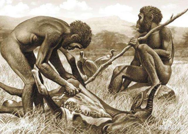 科学家|300万年前的人类被发现，科学家究其死因，发现她一生相当可怜
