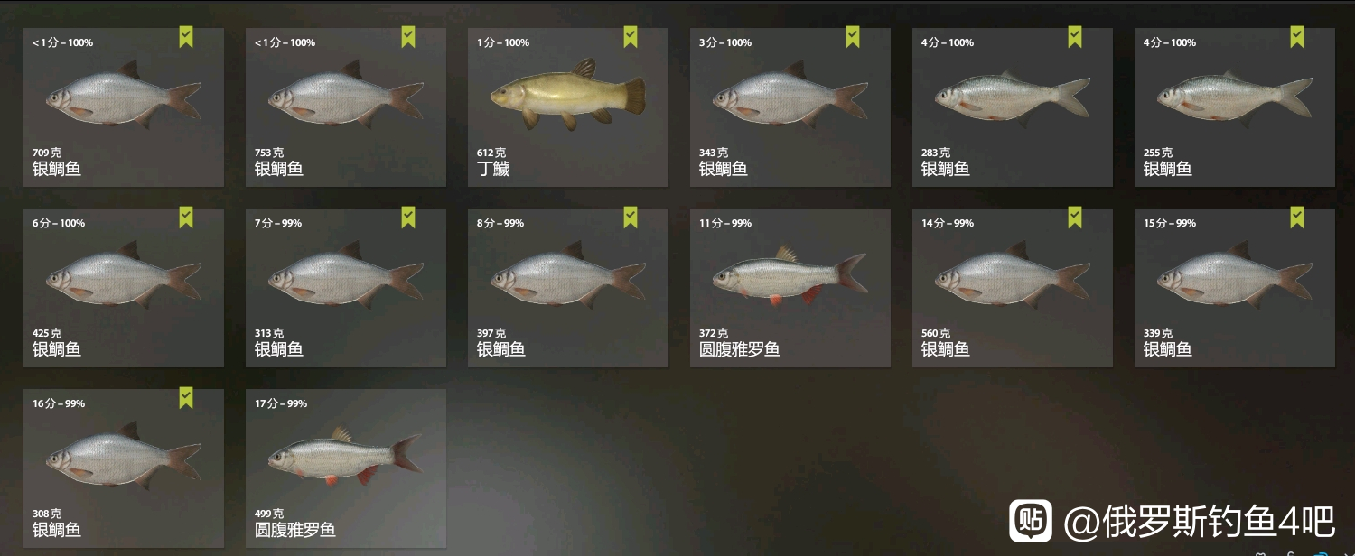 巨鳄|俄罗斯钓鱼4 12图老奥,银雕鱼,手杆和海竿的配置