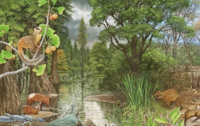  鳄鱼家族有多倒霉？努力了两亿年，每次在马上称霸时被地球针对