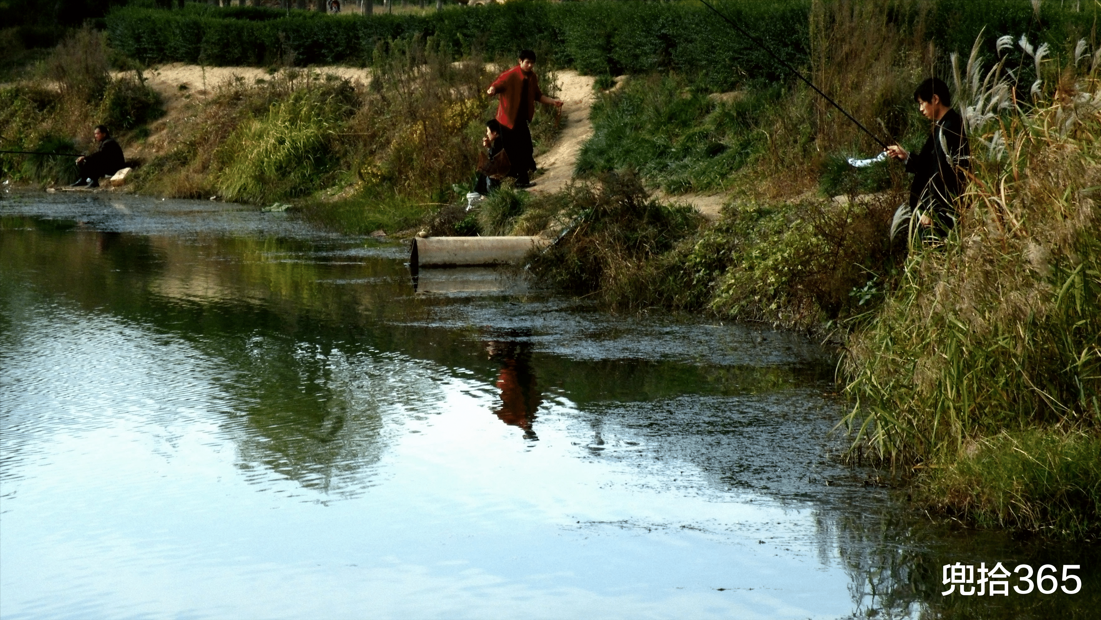 湖南|湖南一男子户外野钓，意外收获“米级”大鱼，直接躺地上当参照物
