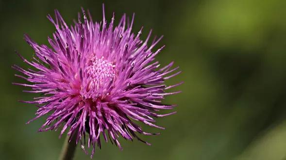 肝脏|“吃香喝辣”——伤肝5大雷区,你可能每天都在做