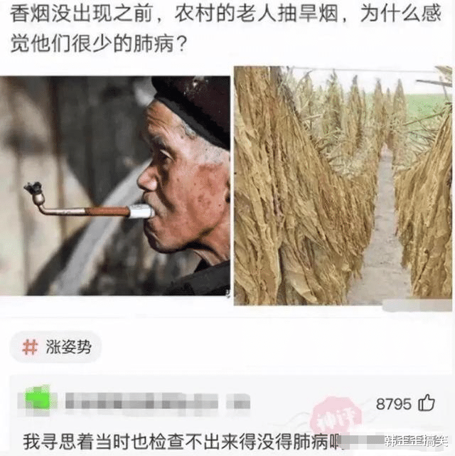 玉米|“为什么香烟没出现之前，抽旱烟的老人极少得肺病？”神评真相了