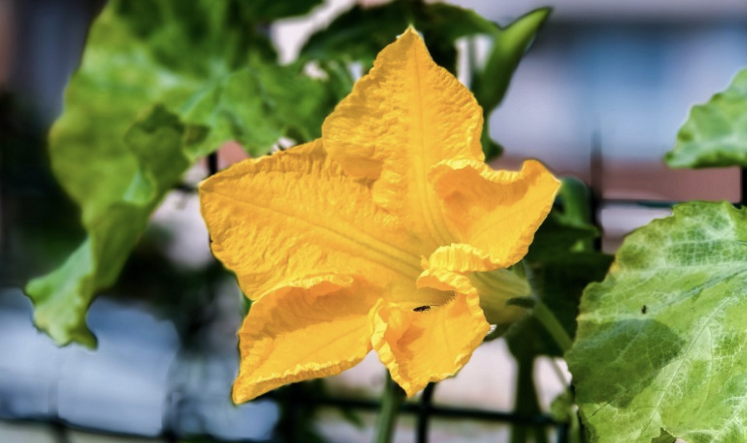 生肖夜梦|9月底，好运到，贵人帮，人生得意，3生肖手握聚宝盆，占尽先机