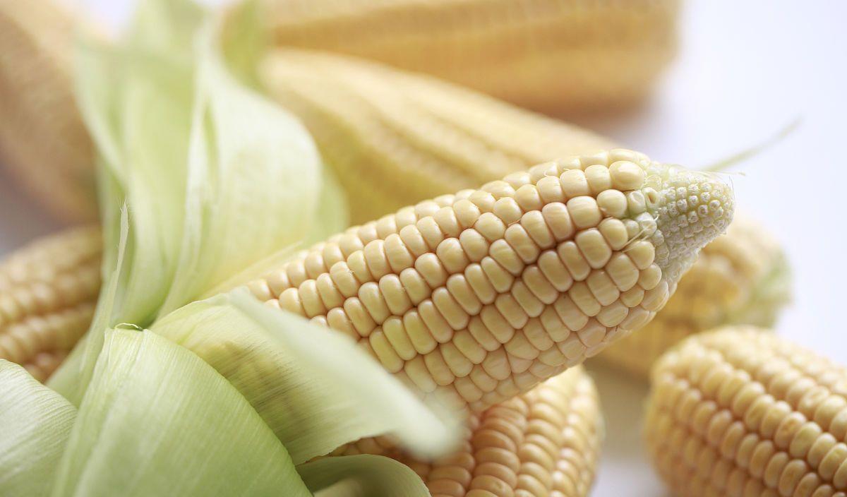 蛋糕|哪些食物可以代替主食，既营养健康又能控制体重