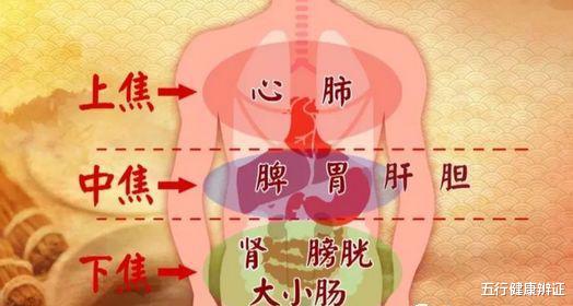 五行健康辨证|肺有火口渴，胃有火总饿，下焦火尿多！糖尿病的3把火要如何灭？