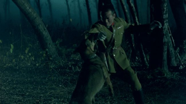 电影|郑爽被封杀半年后，娱乐圈又爆猛料：为拍电影竟害死一条命，他早该滚了！