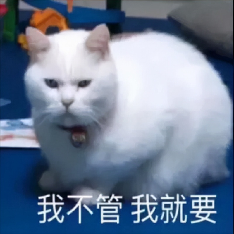 希林娜依·高|女星美子的故事：美子被干爹套路后，决定搅黄小哪吒的国际梦！