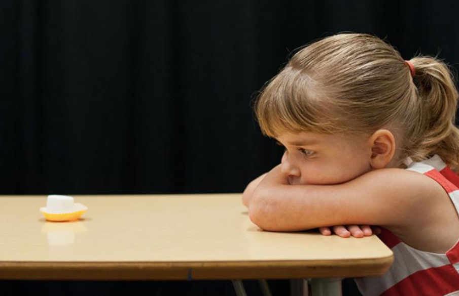 歪妈亲子故事|40年前，“棉花糖实验”里最能忍的那个女孩，现已成了谷歌之母