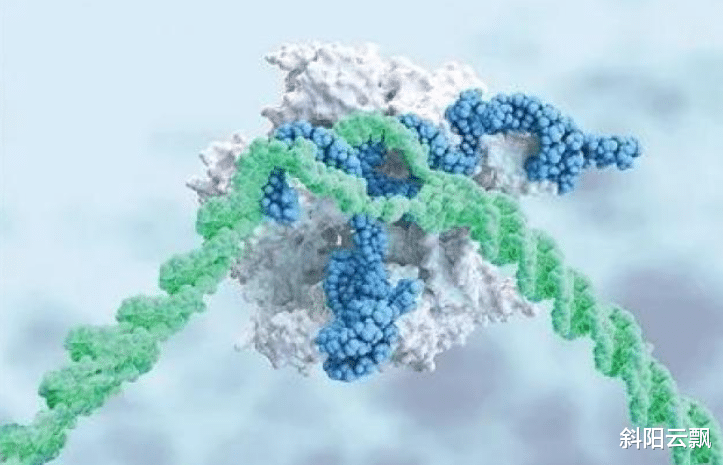 苹果|达摩院预测的2022十大科技趋势？这怕不是才通网吧