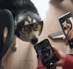 萌萌萌说|“为了庆祝基友退役归来，一男子竟换上女装欢迎？”哈哈好羡慕