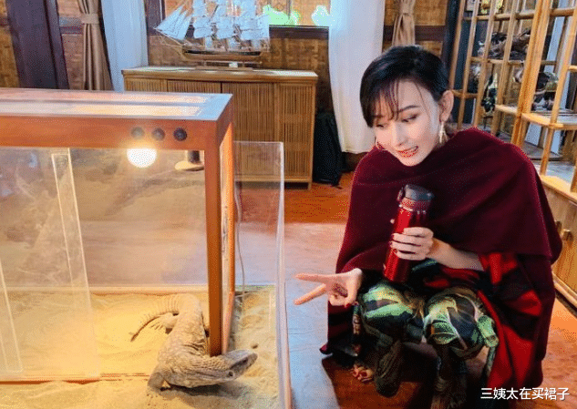 三姨太在买裙子|深扒！胡静老公！好家伙，前女友居然是杨紫琼