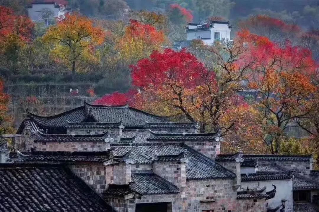 蚌埠广电 三年行动任务圆满完成!蚌埠这些单位和个人,全省通报表扬!