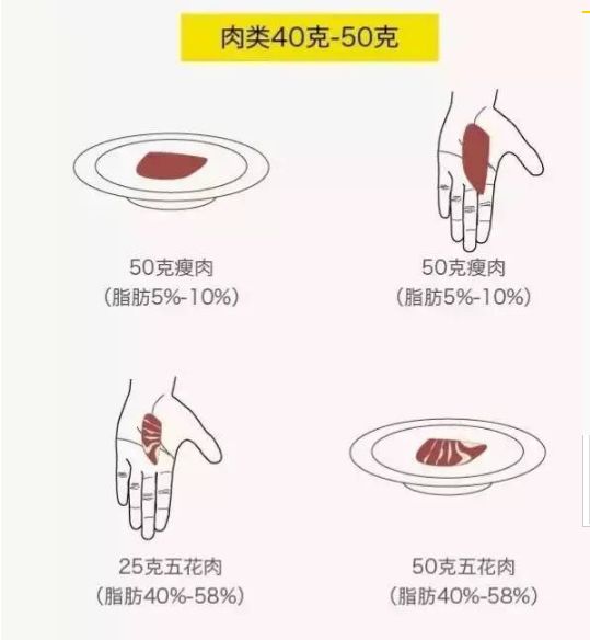 饮食|节食+少量运动，没有掉秤，是因为饮食过少了吗？丨杰夫问答