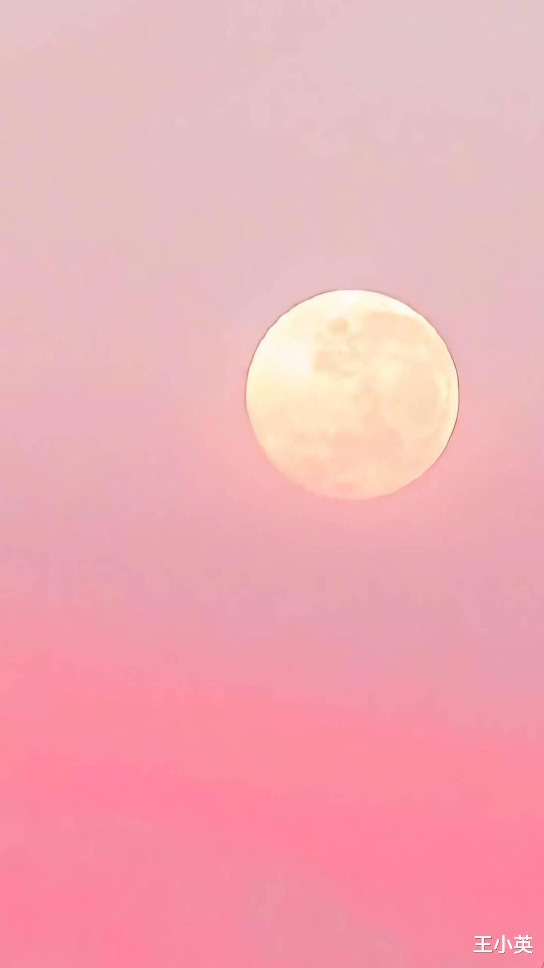 双鱼座|职场中,以人品取胜的3个星座,为人踏实又谦虚