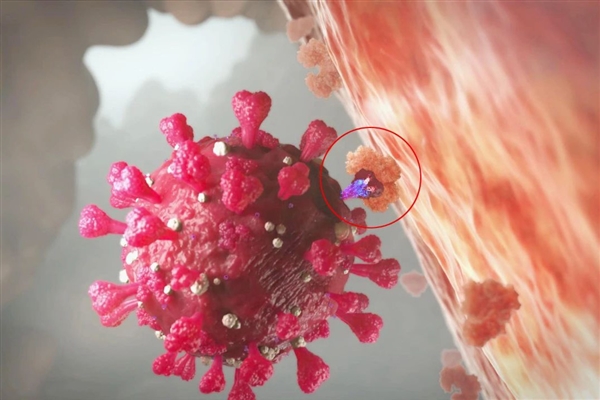 德尔塔 专家实锤!变种病毒“拉姆达”比“德尔塔”更具传染性