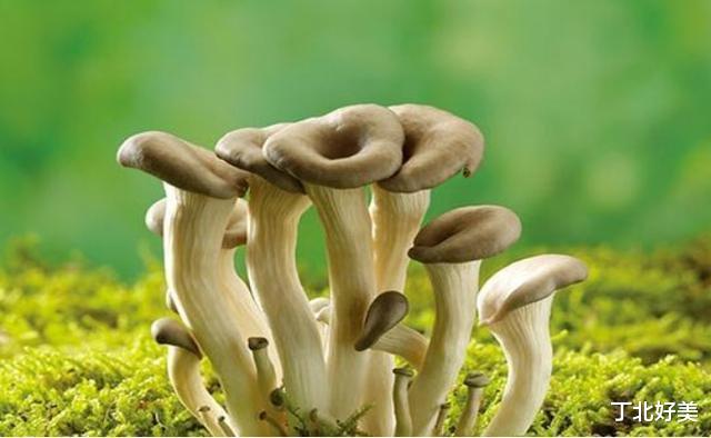 运动|10种“刮油”食物让你越吃越瘦，搭配一项“网红”运动助你年轻态