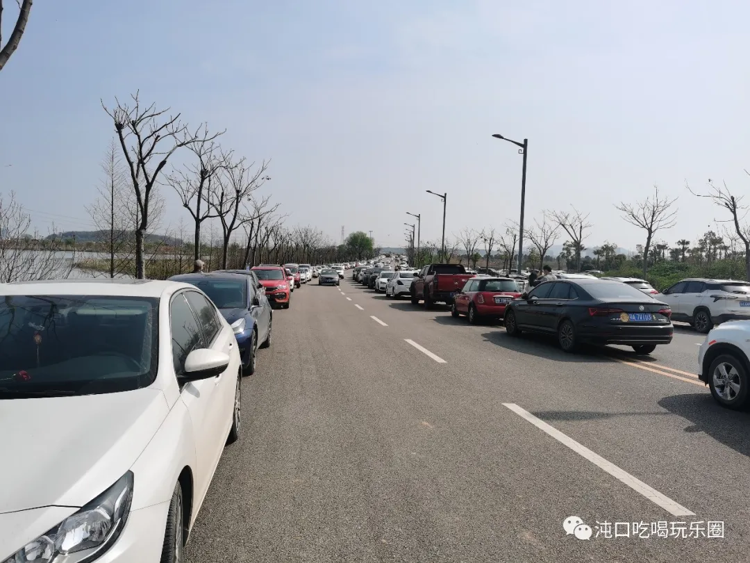 沌口之声 龙灵山成了沌口亲子踏青的好去处！