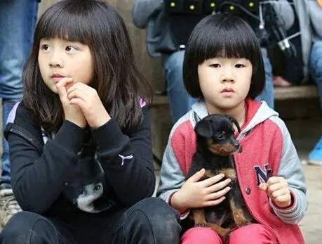 李承铉|黄磊的陪伴刘烨的三观李湘的富养，5年过去，这些星二代怎么样了