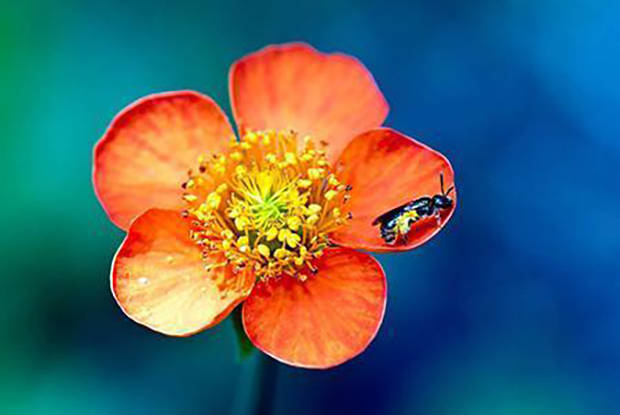 机器人|人心难测,要想与人交往不吃亏,记住这四戒