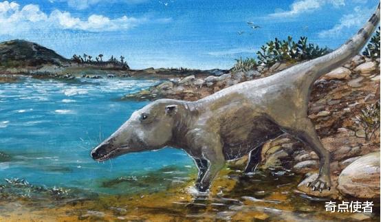 太阳系 进化论是错的？下海5000多万年后，鲸鱼仍然没有鳃，哪个环节错了？