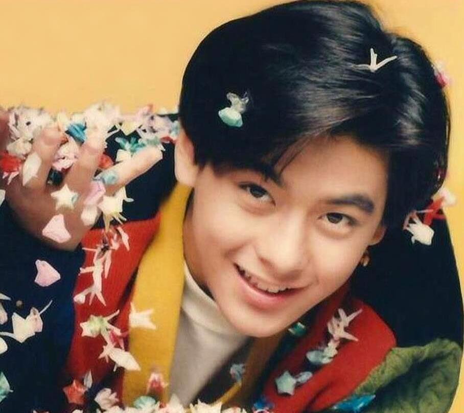 柳岩|来！28位70后“大叔”颜值巅峰照，以现在的审美，你觉得谁最帅？