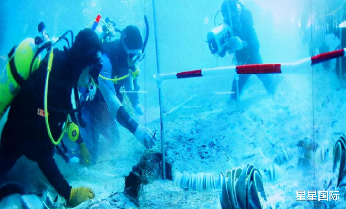 陆小曼|又火了，中国发现载满圆明园文物的英国沉船，英国：请还给我们